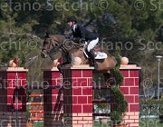 Schuttert Up to Date TosTour2013- S5 2145 : Arezzo, Arezzo Equestrian Centre, Schuttert Hendrik, Toscana Tour 2013, Up to Date, foto di Stefano Secchi ©